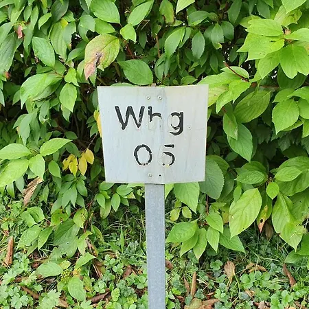 Fuer 5 Personen In Apartament Wasserburg